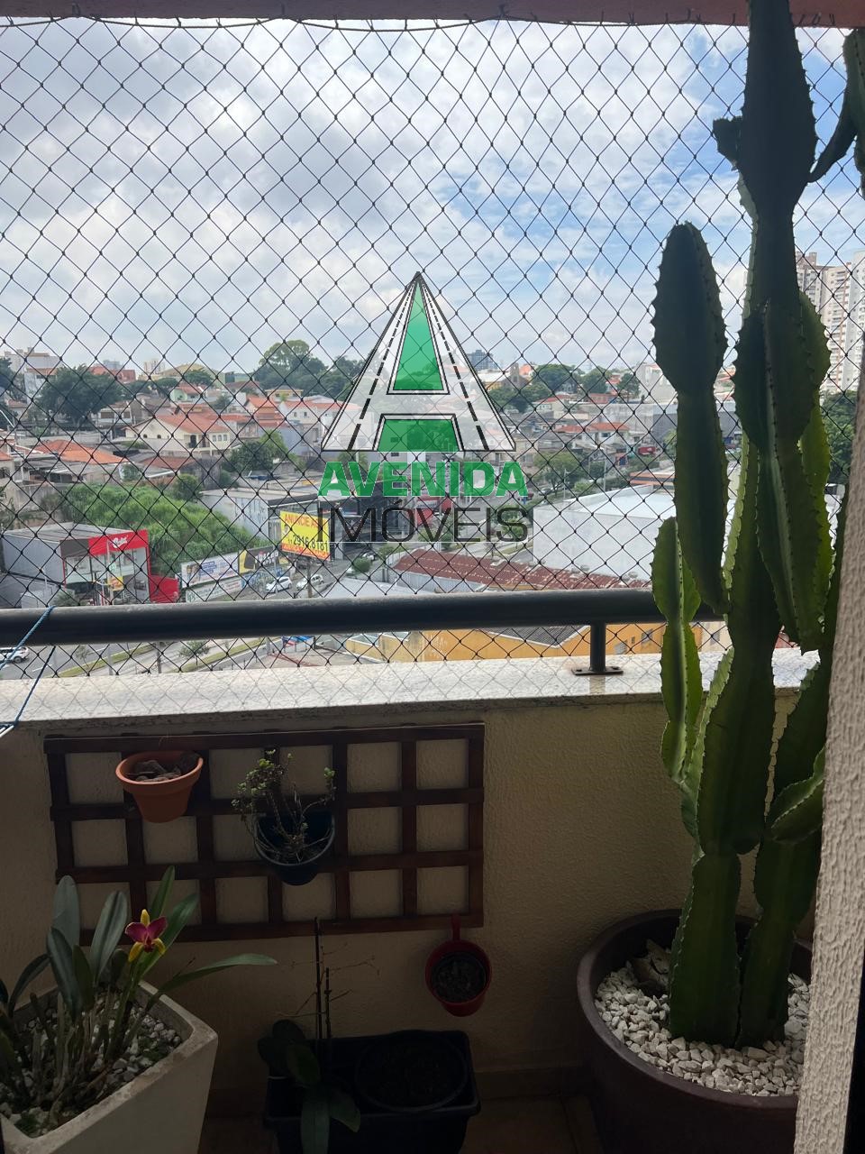 Apartamento 75 m² com 3 dormitórios na Vila Gilda, Santo André- SP